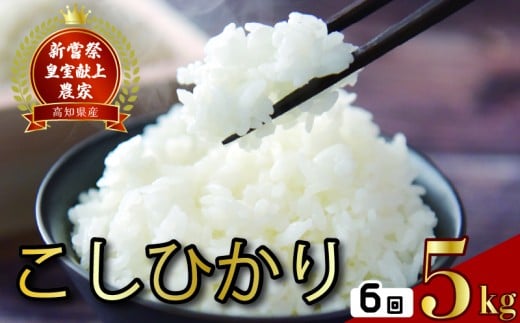 令和8年産 コシヒカリ 白米 6ヵ月連続 定期便 5kg × 6回 30kg
