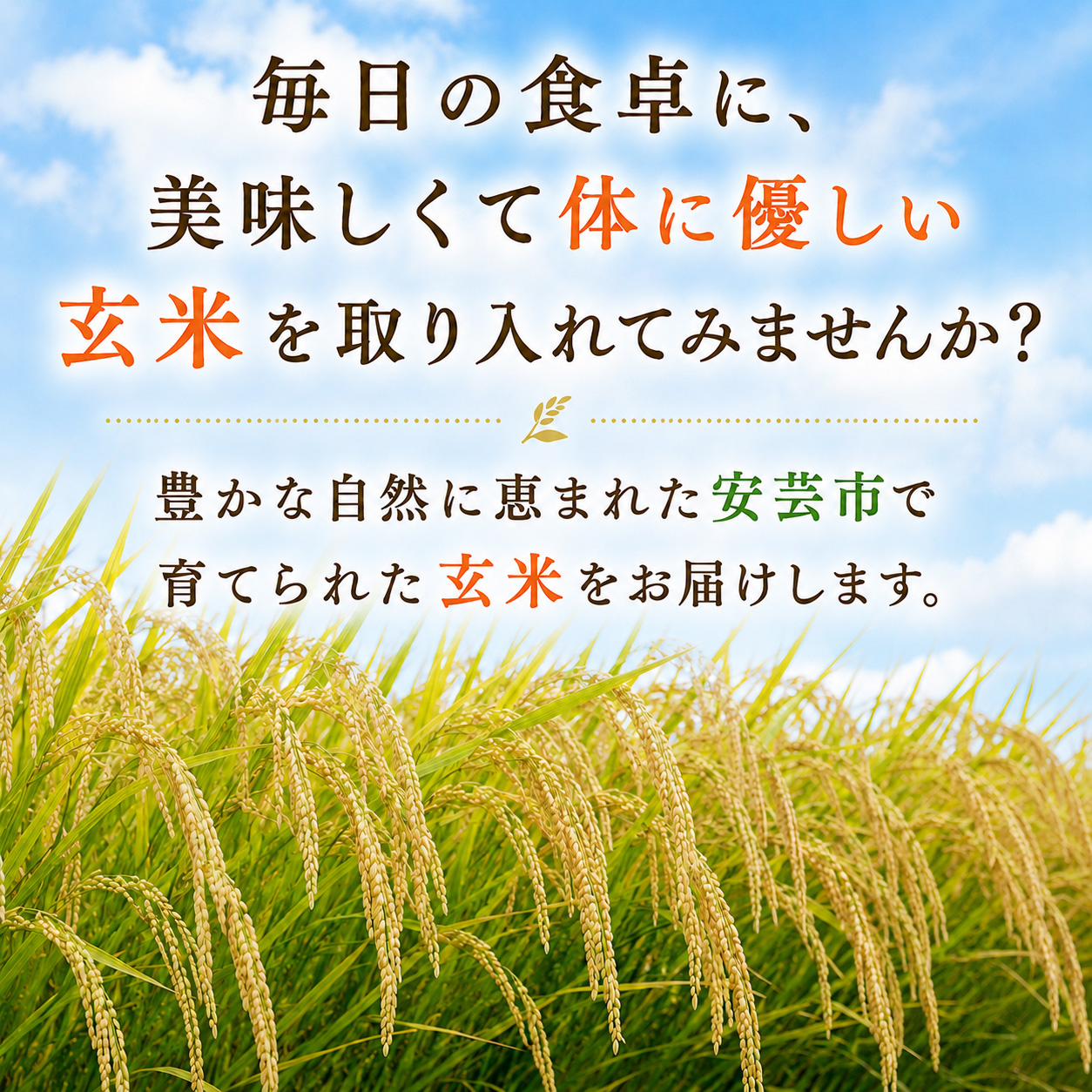 【先行受付】 令和8年産 玄米 こしひかり 10kg こしひかり 安芸産 栄養価 お米 精米 新米 ごはん ご飯 高知県産 弁当 おにぎり 料理 新嘗祭皇室献上米 令和8年 健康志向 もちもち食感 美味しい 農家直送 先行予約 おにぎり 高級米 ブランド米 冷めても美味しい 炊き立て 食べ比べ 人気 おすすめ 贈答用 ギフト お米の定期便人気 安芸市 高知県