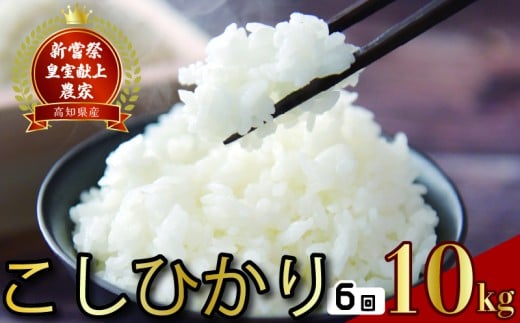 令和8年産 コシヒカリ 白米 6ヵ月連続 定期便 10kg × 6回 60kg