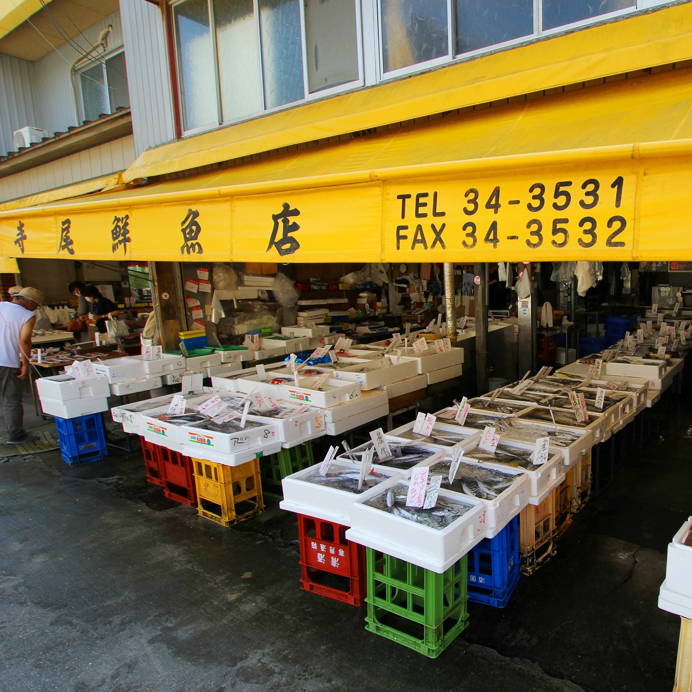 老舗 寺尾鮮魚店の鰹のタタキ 1.5kgセット(タレ・薬味付き)