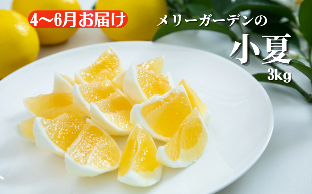 安芸市フルーツ定期便【5.7万円コース/年4回発送】