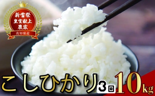 令和8年産 コシヒカリ 白米 3ヵ月連続 定期便 10kg × 3回 30kg