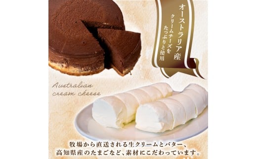 3回 定期便 チーズケーキ チョコレートニューヨーク 4号 12cm 冷凍 手作り お土産 お取り寄せ 冷蔵 チーズ ケーキ チョコ お菓子 洋菓子 おやつ デザート 手づくりチーズケーキ工房 ちーず屋 手作りちーずけーき 高知県 安芸市