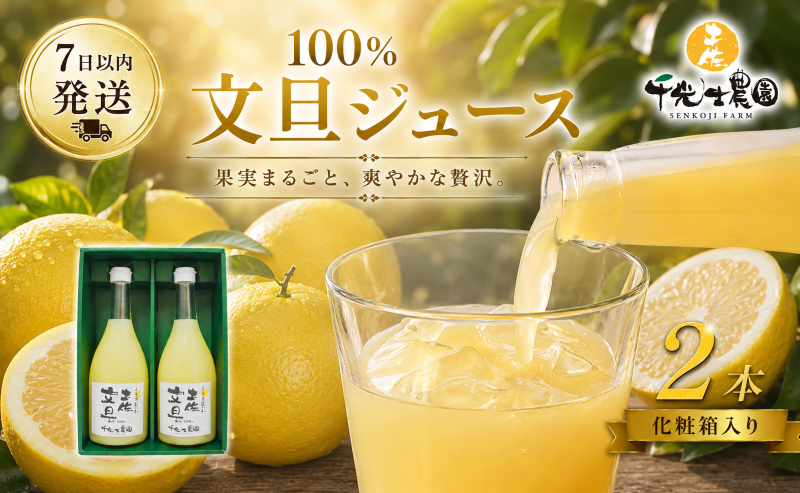 文旦 フレッシュ ジュース 2本セット