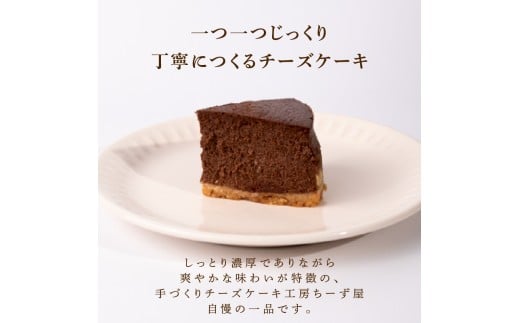 12回 定期便 チーズケーキ チョコレートニューヨーク 4号 12cm 冷凍 手作り お土産 お取り寄せ 冷蔵 チーズ ケーキ チョコ お菓子 洋菓子 おやつ デザート 手づくりチーズケーキ工房 ちーず屋 手作りちーずけーき 高知県 安芸市 BC040