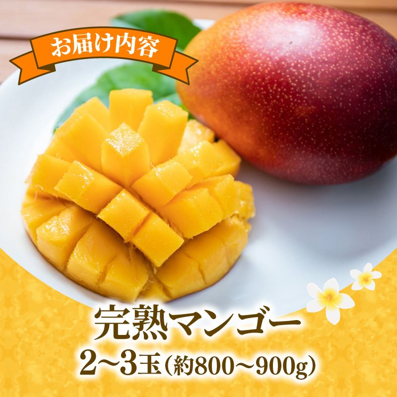 【令和8年産 先行予約受付】 完熟 マンゴー 2玉 ～ 3玉 800g ～ 900g フルーツ 果物 くだもの 季節限定 期間限定 旬 限定 高糖度 南国フルーツ 南国マンゴー スイーツ デザート アレンジ プリン ケーキ スムージー 国産 メリーガーデン 高知県安芸市 予約 アップルマンゴー アーウィン 鉢植え 自然落下 ギフト 贈答用 岡宗農園 6月 7月 夏 高知 安芸市 高知県