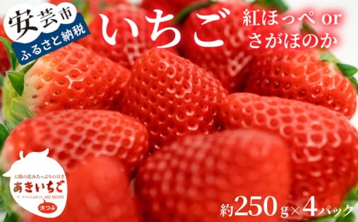 紅ほっぺ さがほのか 約 1kg ( 約 250g × 4パック )