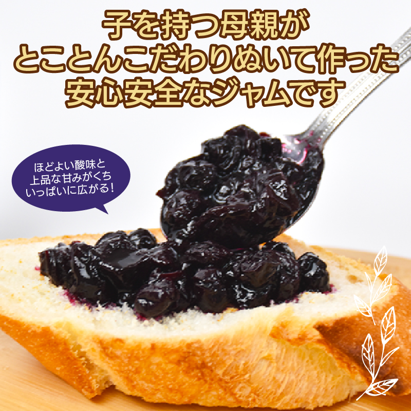 ブルーベリージャム 140g 無添加 手作り 高知県産 小分け ギフト 贈り物 ご贈答 自然 甘さ 酸味 上品 繊細 健康 グラニュー糖 フルーティー 濃厚 高糖度 砂糖不使用 のし対応 koché 安芸市 高知県