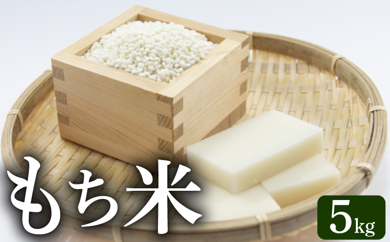 もち米 5kg