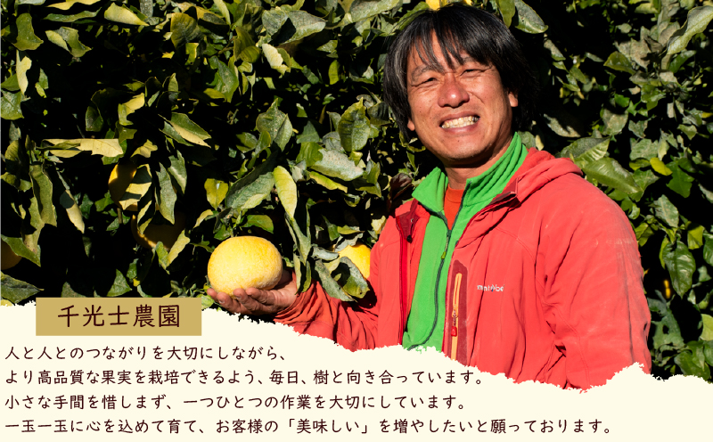 【 先行予約受付 】【 R8年発送 】 土佐文旦 M~L 約5kg 訳あり ぶんたん ワケあり 果物 柑橘 みかん 高知県 特産品 贈答用 ギフト 家庭用 フルーツ 旬 季節 果実 お取り寄せ 千光士農園 南国土佐 プリプリ 爽やか 酸味 甘い 果汁 食感 2月 3月 4月 冬 春 13玉 14玉 15玉 16玉 安芸市 高知県