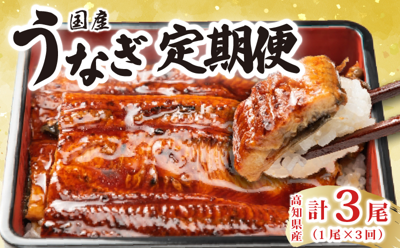 厳選!!高知県産うなぎの蒲焼き(1尾) 3回定期便
