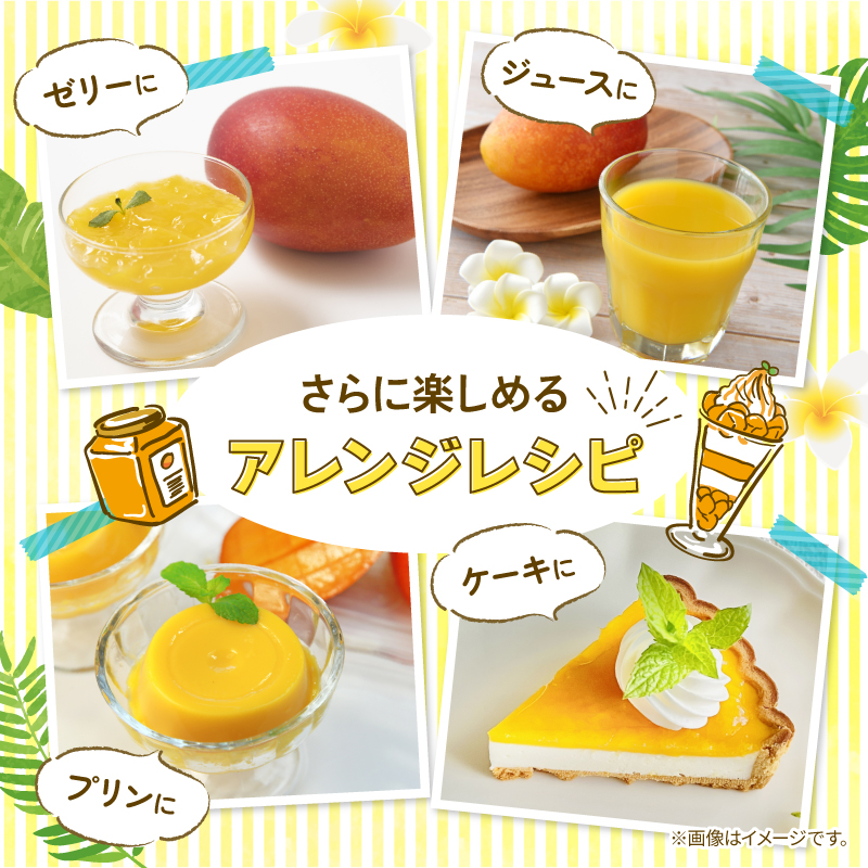 【令和8年産 先行予約受付】 完熟 マンゴー 2玉 ～ 3玉 800g ～ 900g フルーツ 果物 くだもの 季節限定 期間限定 旬 限定 高糖度 南国フルーツ 南国マンゴー スイーツ デザート アレンジ プリン ケーキ スムージー 国産 メリーガーデン 高知県安芸市 予約 アップルマンゴー アーウィン 鉢植え 自然落下 ギフト 贈答用 岡宗農園 6月 7月 夏 高知 安芸市 高知県