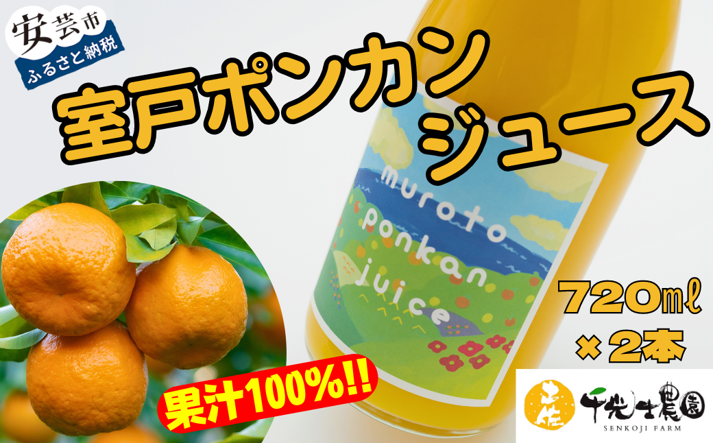 ぽんかんの甘さそのまま!室戸ポンカンジュース(2本セット)