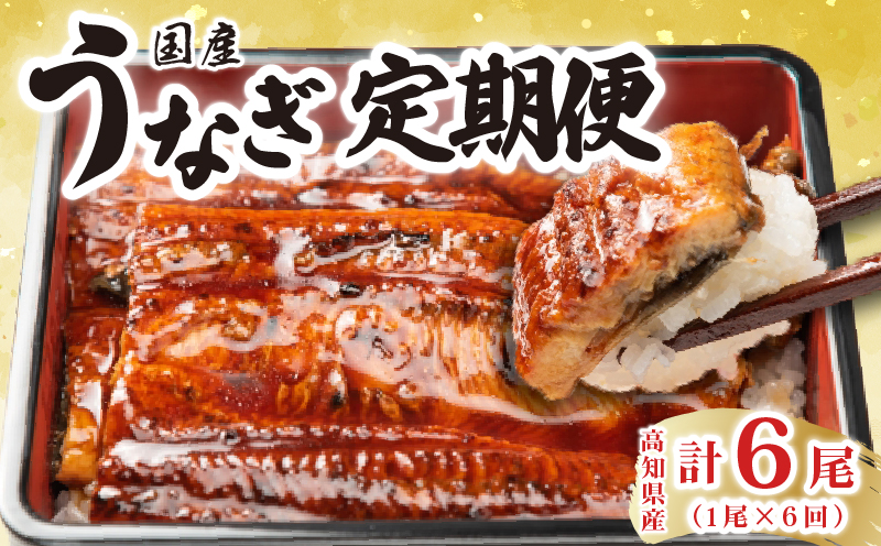 厳選!!高知県産うなぎの蒲焼き(1尾) 6回定期便