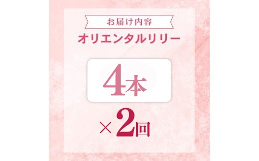 定期便2回 ユリ オリエンタルリリー 4本