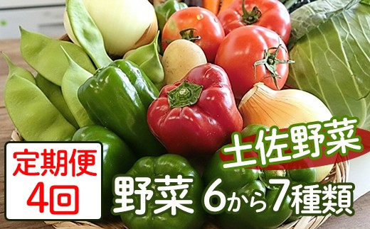 定期便4回「安芸ブランド」新鮮お野菜詰め合わせセット 6～7種類