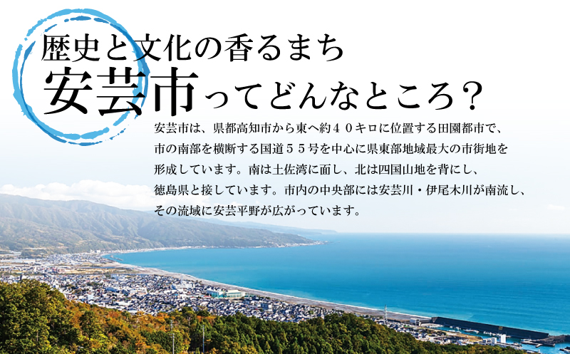 日本酒  純米大吟醸 菊水 720ml×1本｜純米大吟醸 山田錦 ギフト 父の日 母の日 贈り物 地酒 清酒 酒 プレゼント 誕生日 敬老の日 お祝い 晩酌 酒造 蔵元 こだわり 手造り 国産米 食中酒 お酒 地元 伝統 安芸市 高知県