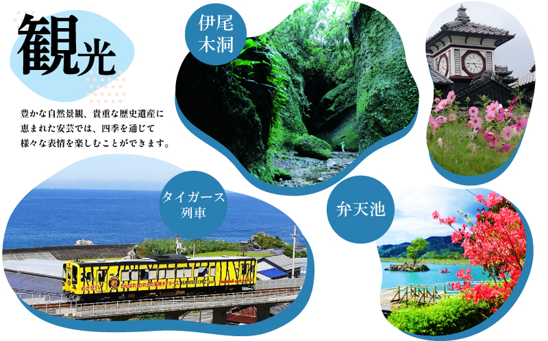 ヨーグルトのお酒 8本 セット ヨーグルト よーぐると 酒 おさけ お酒 sake 女子会 プレーン ラズベリー ゆず マンゴー ギフトボックス 可愛い ハート リキュール 土佐 すっきり ギフト 父の日 パーティ 贈り物 菊水酒造 高知県 安芸市