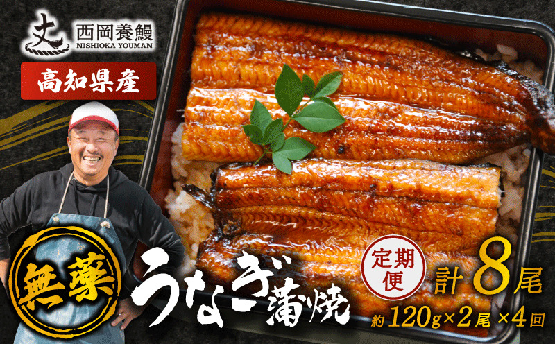 完全無投薬 うなぎ蒲焼 定期便 計8尾 ( 120g × 2尾 × 4回 ) 国産 鰻 厳選 無薬 うなぎ 蒲焼き かば焼き 人気 特製タレ 鰻蒲焼き 湯煎 簡単調理 タレ 山椒 セット 旨味 風味 うな重 土用の丑の日 夏バテ対策 ギフト 贈り物 贈答 お取り寄せ グルメ 高級 うなぎ料理 こだわり うな丼 ひつまぶし 冷凍 高知県産 ランキング おすすめ 西岡養鰻 安芸市 高知県