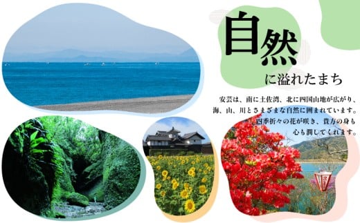 5å å®æäŸ¿ ããŒãºã±ãŒã 4å· 12cm å·å ãã¥ãŒãšãŒã¯ããŒãºã±ãŒã ã¹ã€ãŒã ãã¶ãŒã ã±ãŒã æŽèå ãèå ããã ãã〠æäœã ãåãå¯ã ãè€çŸ ããŒãº ã®ãã ãã¬ãŒã³ã èŽç èŽãç© æå®æ¥ ã¯ãªãŒã ããŒãº ç§å ŽçŽé çã¯ãªãŒã ãã¿ãŒ é«ç¥çç£ ããŸã çŽ æ ãã ãã ãã£ãŒã¿ã€ã ããšã ããŒã« ãã«ã¯é¢šå³ èªçæ¥ èšå¿µæ¥ ããŒãã£ãŒ ãç¥ã 5ã¶æé£ç¶ å®èžåž é«ç¥ç