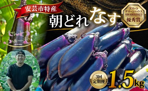 [3回定期便]朝採れナス 約1.5kg 茄子 ナス 国産 高知 農家直送 野菜 ベジタブル 新鮮 なす 薄皮 焼きナス 美容 健康 朝どれ 焼き肉 アウトドア BBQ 和食 洋食 中華 おかず なすび せんとうふぁーむ常温 栽培 農業 地産地消 旬 夏野菜 ヘルシー ビタミン ミネラル 食物繊維 アントシアニン ポリフェノール 料理 家庭菜園 レシピ 安芸市 高知県
