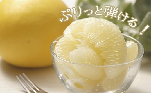 【 先行予約受付 】【 R8年発送 】 土佐文旦 M~L 約5kg 訳あり ぶんたん ワケあり 果物 柑橘 みかん 高知県 特産品 贈答用 ギフト 家庭用 フルーツ 旬 季節 果実 お取り寄せ 千光士農園 南国土佐 プリプリ 爽やか 酸味 甘い 果汁 食感 2月 3月 4月 冬 春 13玉 14玉 15玉 16玉 安芸市 高知県