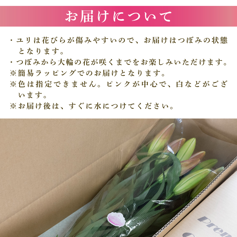 定期便4回 ユリ オリエンタルリリー 7本