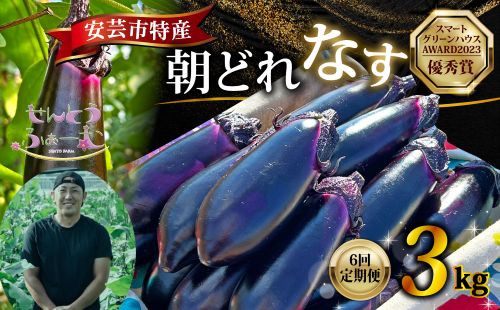 【6回定期便】朝採れナス 約3kg 茄子 ナス 国産 高知 農家直送 野菜 ベジタブル 新鮮 なす 薄皮 焼きナス 美容 健康 朝どれ 焼き肉 アウトドア BBQ 和食 洋食 中華 おかず なすび せんとうふぁーむ常温 栽培 農業 地産地消 旬 夏野菜 ヘルシー ビタミン ミネラル 食物繊維 アントシアニン ポリフェノール 料理 家庭菜園 レシピ 安芸市 高知県