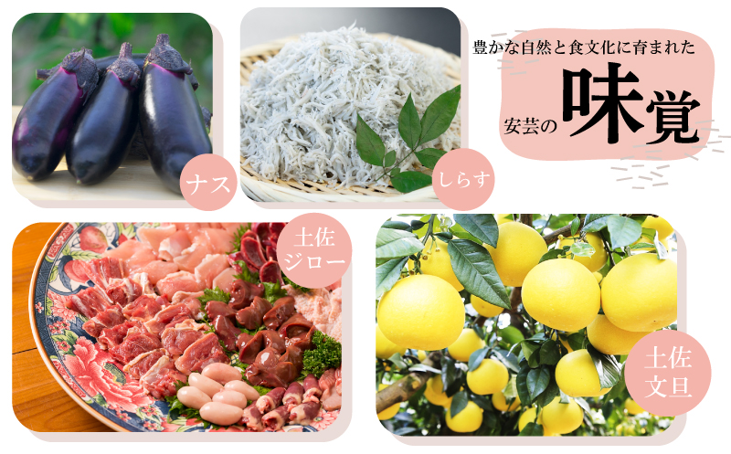 日本酒  純米大吟醸 四万十川 1800ml×1本｜純米大吟醸 ギフト 父の日 母の日 贈り物 高知県 安芸市 地酒 清酒 酒 プレゼント 誕生日 敬老の日 お祝い 晩酌 酒造 蔵元 こだわり 手造り 国産米 食中酒 お酒 地元 伝統 安芸市 高知県