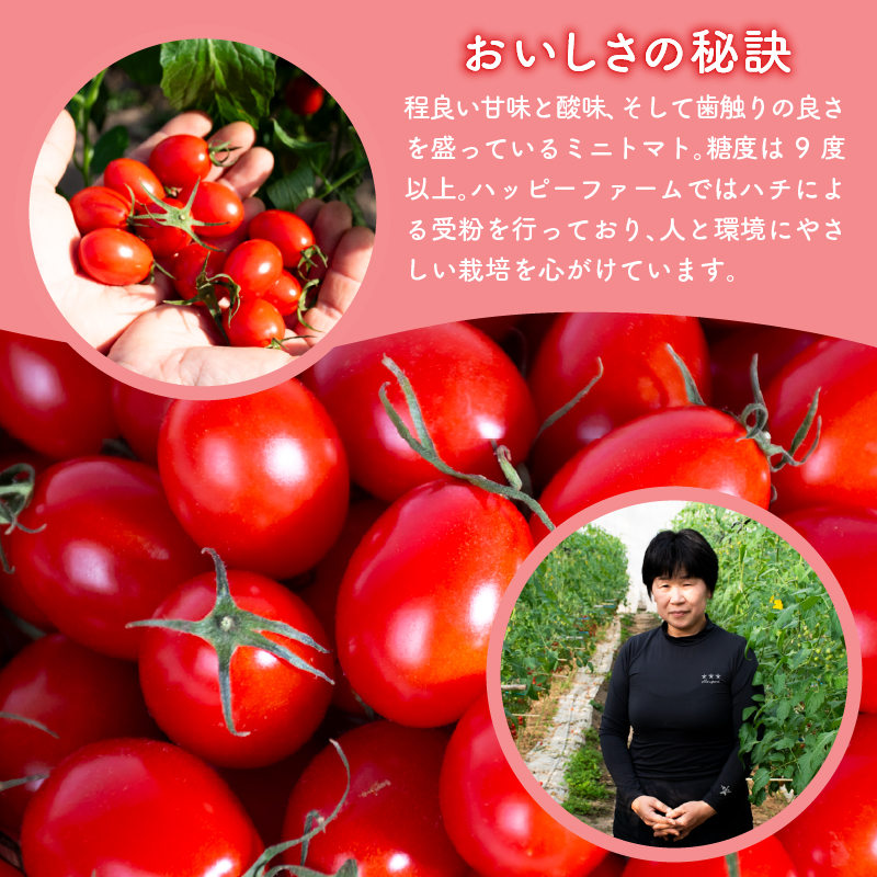 縲仙郁。悟女莉倬幕蟋九代ワ繝繝斐シ繝医槭ヨ3kg