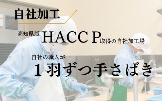 地鶏 土佐ジロー カット肉 1袋 肉 鶏肉 とり もも むね ささみ もも肉 むね肉 鶏もも 鶏むね モモ ムネ チキン カット肉 冷凍 個包装 小分け 真空パック 焼き肉 焼肉 唐揚げ からあげ 惣菜 おかず 高知県安芸市 約200g×1袋 幻の地鶏 はたやま夢楽 濃厚 旨味 天日塩 強火 焼く 白米 ご飯 おつまみ 地元 ブランド鶏 高級 グルメ 安芸市 高知県