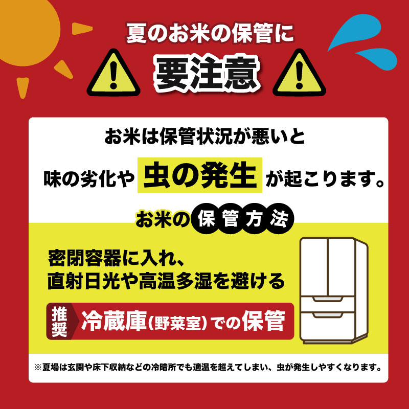 先行受付 令和8年産 玄米 こしひかり 40kg 4ヵ月連続 定期便 10kg × 4回 安芸産 栄養価 お米 精米 新米 ごはん ご飯 高知県産 弁当 おにぎり 料理 新嘗祭皇室献上米 令和8年 健康志向 もちもち食感 美味しい 農家直送 先行予約 おにぎり 高級米 ブランド米 冷めても美味しい 炊き立て 食べ比べ 人気 おすすめ 贈答用 ギフト お米の定期便人気 安芸市 高知県