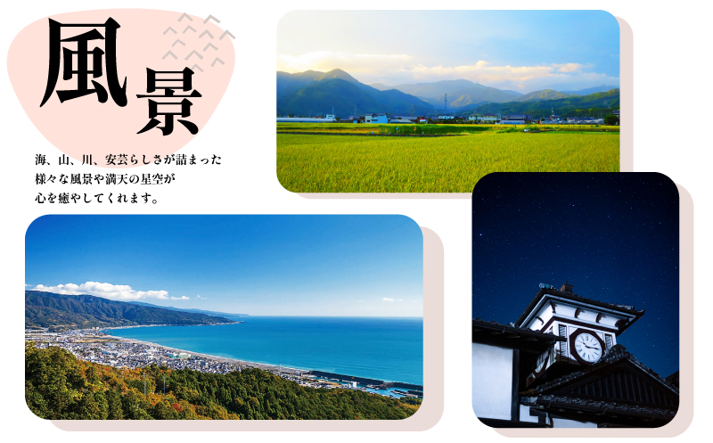 とろとろマンゴー梅酒1800ml 1本 とろとろ うめ 梅 ウメ ume 梅酒 マンゴー 果汁 濃厚 トロピカル リキュール 酒 おさけ お酒 sake 女子会 リキュール 土佐  ギフト 父の日 パーティ 贈り物 一升瓶 1,800ml 1.8L 菊水酒造 高知県 安芸市