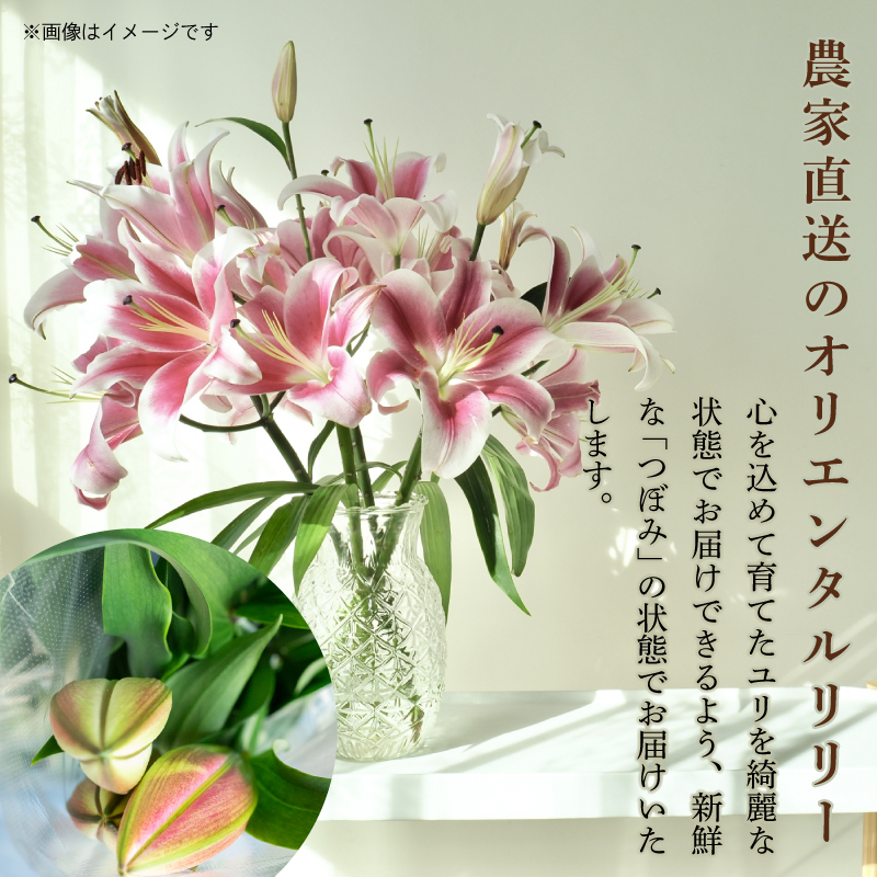 螳壽悄萓ソ6蝗 繝ヲ繝ェ 繧ェ繝ェ繧ィ繝ウ繧ソ繝ォ繝ェ繝ェ繝シ 3譛ャ