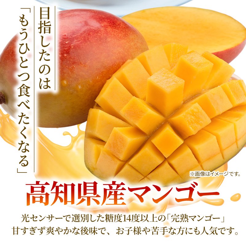 【令和8年産 先行予約受付】 完熟 マンゴー 2玉 ～ 3玉 800g ～ 900g フルーツ 果物 くだもの 季節限定 期間限定 旬 限定 高糖度 南国フルーツ 南国マンゴー スイーツ デザート アレンジ プリン ケーキ スムージー 国産 メリーガーデン 高知県安芸市 予約 アップルマンゴー アーウィン 鉢植え 自然落下 ギフト 贈答用 岡宗農園 6月 7月 夏 高知 安芸市 高知県