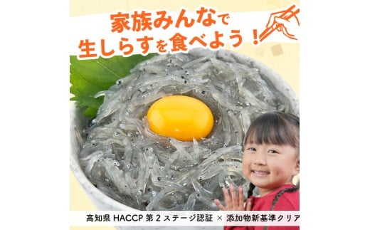 土佐のお刺身「生しらす」10個セット <しらす出汁を使った特製のポン酢タレ付き>