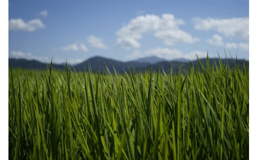 蜈郁。御コ育エ 莉、蜥8蟷エ蠎ヲ逕」 繧ゅ■邀ウ 10kg