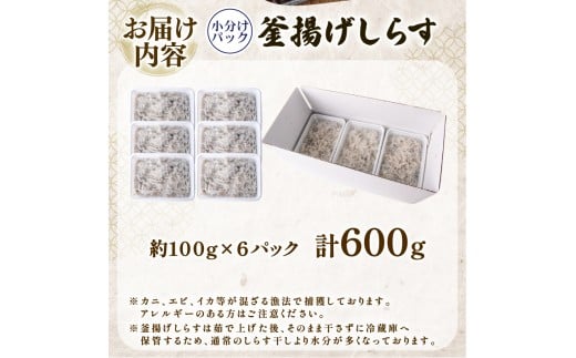 しらす 訳あり 計 600g 訳あり 冷凍 ちりめん 釜揚げしらす 減塩 釜揚げ ごはん 丼 パスタ チャーハン サラダ シラス sirasu しらすごはん シラス しらす しらす丼 shirasu sirasu SIRASU 人気シラス 海鮮 魚 魚貝 魚 料理 高知県 安芸市