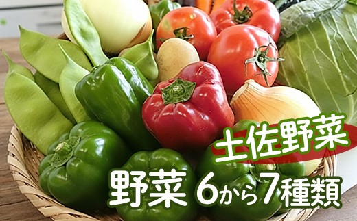 「安芸ブランド」新鮮お野菜詰め合わせセット 6～7種類