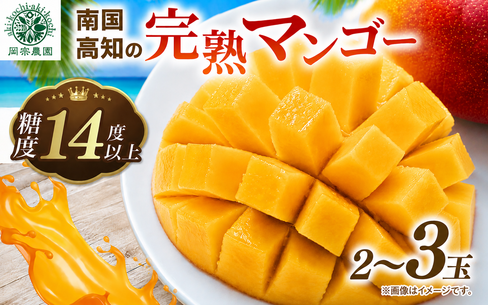 【令和8年産 先行予約受付】 完熟 マンゴー 2玉 ～ 3玉 800g ～ 900g フルーツ 果物 くだもの 季節限定 期間限定 旬 限定 高糖度 南国フルーツ 南国マンゴー スイーツ デザート アレンジ プリン ケーキ スムージー 国産 メリーガーデン 高知県安芸市 予約 アップルマンゴー アーウィン 鉢植え 自然落下 ギフト 贈答用 岡宗農園 6月 7月 夏 高知 安芸市 高知県