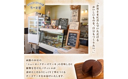 3回 定期便 チーズケーキ チョコレートニューヨーク 4号 12cm 冷凍 手作り お土産 お取り寄せ 冷蔵 チーズ ケーキ チョコ お菓子 洋菓子 おやつ デザート 手づくりチーズケーキ工房 ちーず屋 手作りちーずけーき 高知県 安芸市