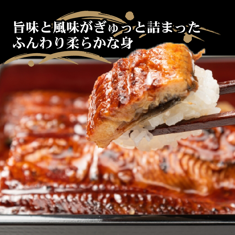 厳選!!高知県産うなぎの蒲焼き(1尾) 3回定期便