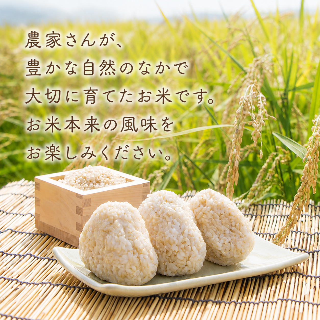 先行受付 令和8年産 玄米 こしひかり 60kg 6ヵ月連続 定期便 10kg × 6回 安芸産 栄養価 お米 精米 新米 ごはん ご飯 高知県産 弁当 おにぎり 料理 新嘗祭皇室献上米 令和8年 健康志向 もちもち食感 美味しい 農家直送 先行予約 おにぎり 高級米 ブランド米 冷めても美味しい 炊き立て 食べ比べ 人気 おすすめ 贈答用 ギフト お米の定期便人気 安芸市 高知県