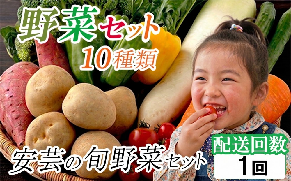 「安芸ブランド」新鮮お野菜詰め合わせセット 10種類