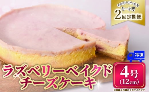 2回 定期便 ラズベリーベイクド チーズケーキ 4号 12cm 冷凍 スイーツ デザート ケーキ ベリー 洋菓子 お菓子 おやつ 手作り お取り寄せ ご褒美 ギフト プレゼント 贈り物 誕生日 記念日 パーティー 濃厚 クリーミー 酸味 爽やか サワークリーム クッキー バター 専門店 チーズケーキ工房 ちーず屋 数量限定 人気 おすすめ ランキング 2ヶ月連続 頒布会 高知県 安芸市