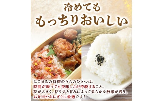 ã什å8幎ç£ã ç±³ ã«ããŸã èš 30kg å®æäŸ¿ 10kg 3ã¶æ ãç±³ çœç±³ 粟米 ãã¯ã ã飯 é«ç¥çç£ åŒåœ ãã«ãã æç é«ç¥çå®èžåž ååœ å±±å° æž
æµ å®èžå¹³é æ¥ç
§æé 什å8幎 å
è¡åä» è¶
æ©å Žç±³ å
šåœ 倧æ¶è²»å° äººæ° ç² äžž 倧ãã ç²ããã ãµã£ãã ãã³ãã³ çãäžãã ç²ã é£å³ å¯ä» ãµãããšçŽçš å®èžåž é«ç¥ç