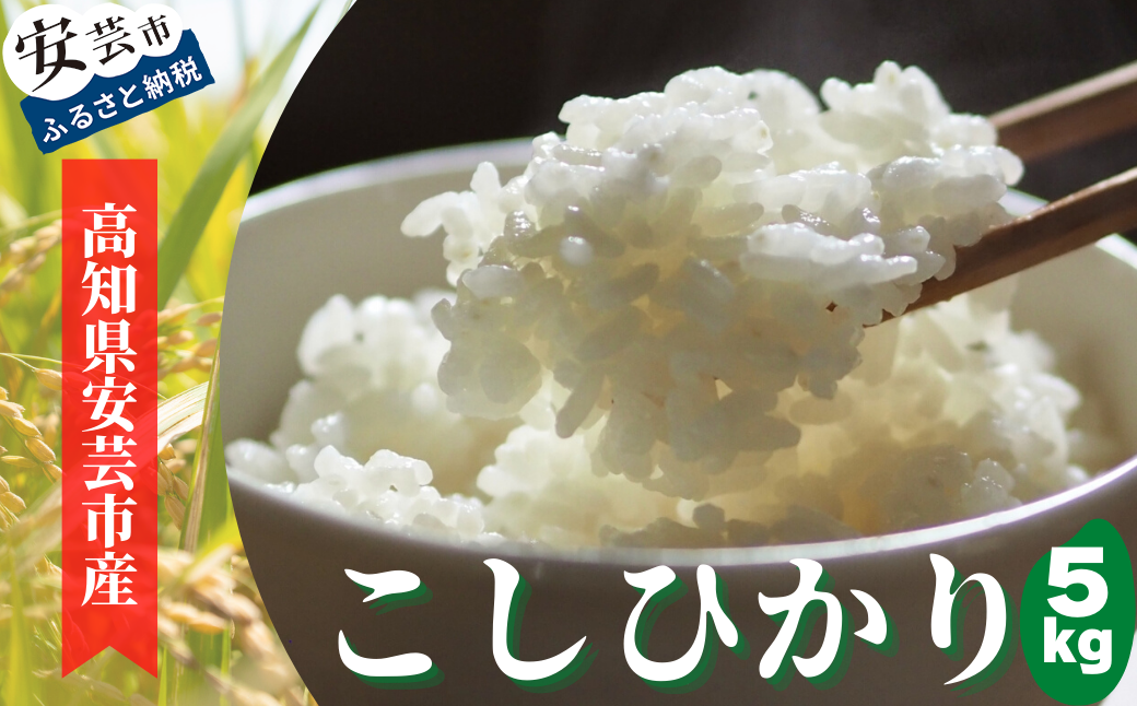 《令和6年産新米》安芸の豊かな自然の恵みを頂いて育ったお米「こしひかり」5kg