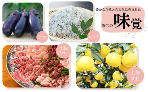 【3回定期便】朝採れナス 約1.5kg 茄子 ナス 国産 高知 農家直送 野菜 ベジタブル 新鮮 なす 薄皮 焼きナス 美容 健康 朝どれ 焼き肉 アウトドア BBQ 和食 洋食 中華 おかず なすび せんとうふぁーむ常温 栽培 農業 地産地消 旬 夏野菜 ヘルシー ビタミン ミネラル 食物繊維 アントシアニン ポリフェノール 料理 家庭菜園 レシピ 安芸市 高知県