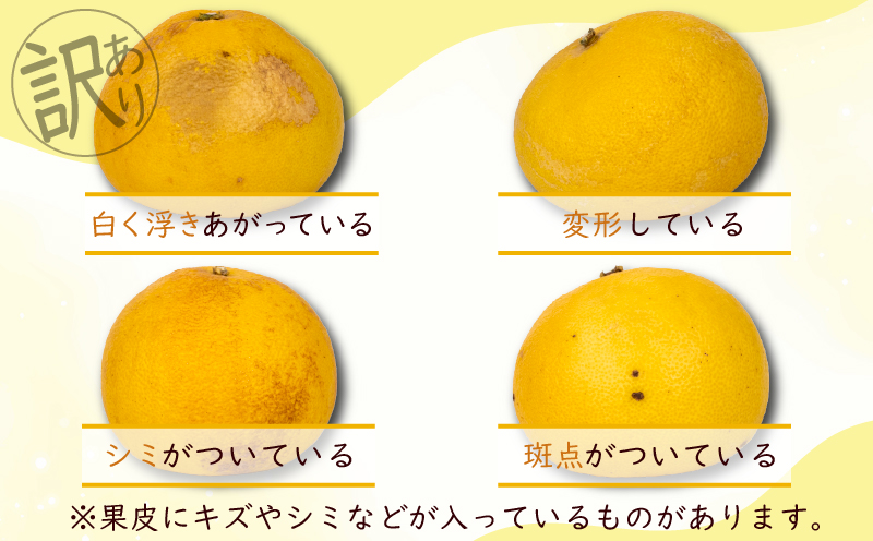 【 先行予約受付 】【 R8年発送 】 土佐文旦 L~4L 約10kg 訳あり 柑橘 フルーツ 果物 ブンタン 文旦 とさぶんたん 高知県 特産品 ギフト プレゼント 贈り物 おいしい 熟成 爽やか 酸味 甘い 果汁 ジューシー 家庭用 旬 季節 限定 2月 3月 4月 春 お取り寄せ グルメ 千光士農園 L 2L 3L 4L 17玉 22玉 安芸市 高知県