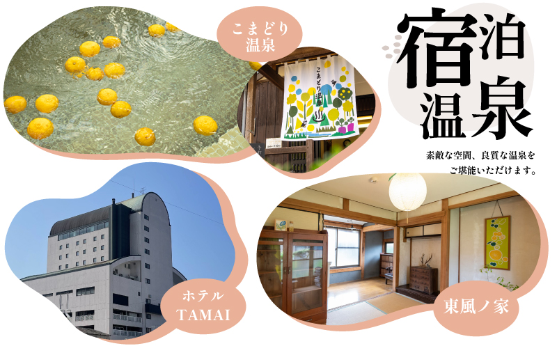 ヨーグルトのお酒 8本 セット ヨーグルト よーぐると 酒 おさけ お酒 sake 女子会 プレーン ラズベリー ゆず マンゴー ギフトボックス 可愛い ハート リキュール 土佐 すっきり ギフト 父の日 パーティ 贈り物 菊水酒造 高知県 安芸市